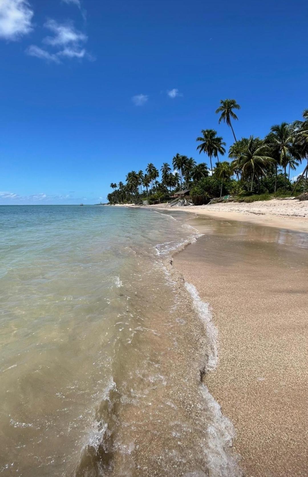São Miguel dos MilagresFlat Sonhos De Milagresアパートメント エクステリア 写真