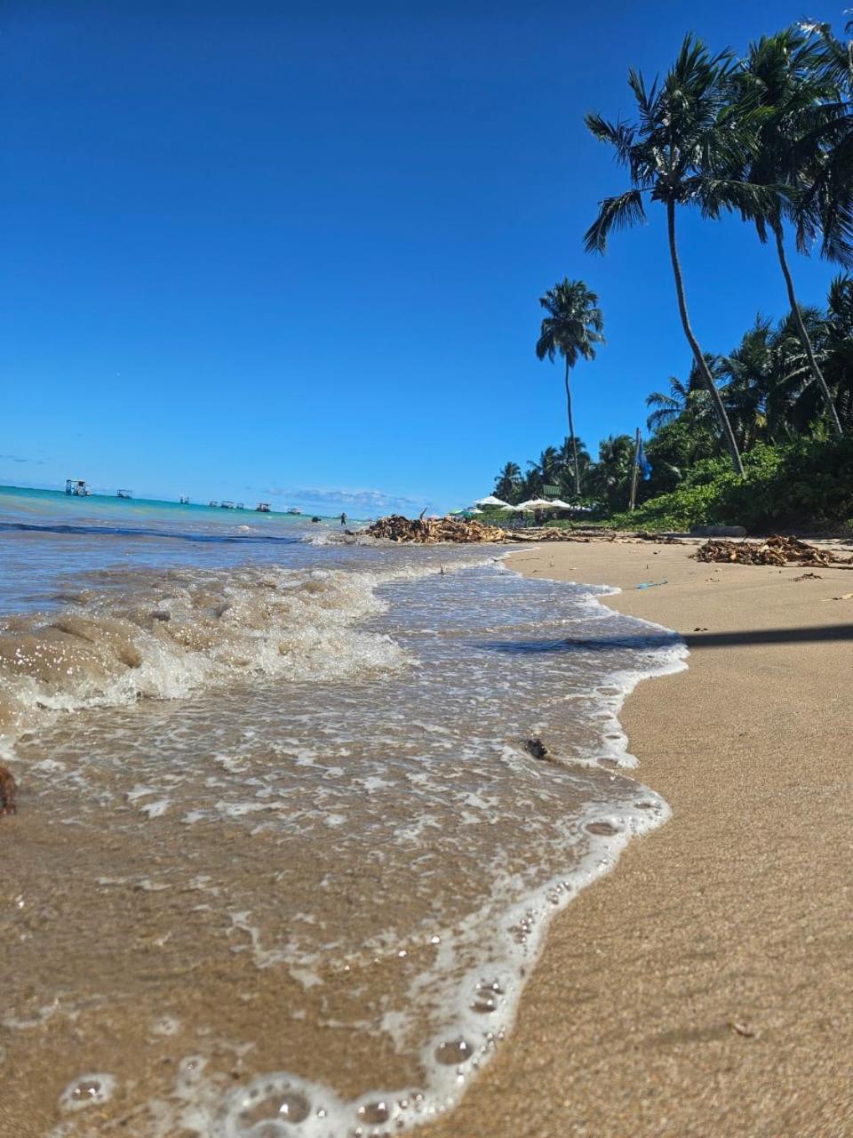 São Miguel dos MilagresFlat Sonhos De Milagresアパートメント エクステリア 写真